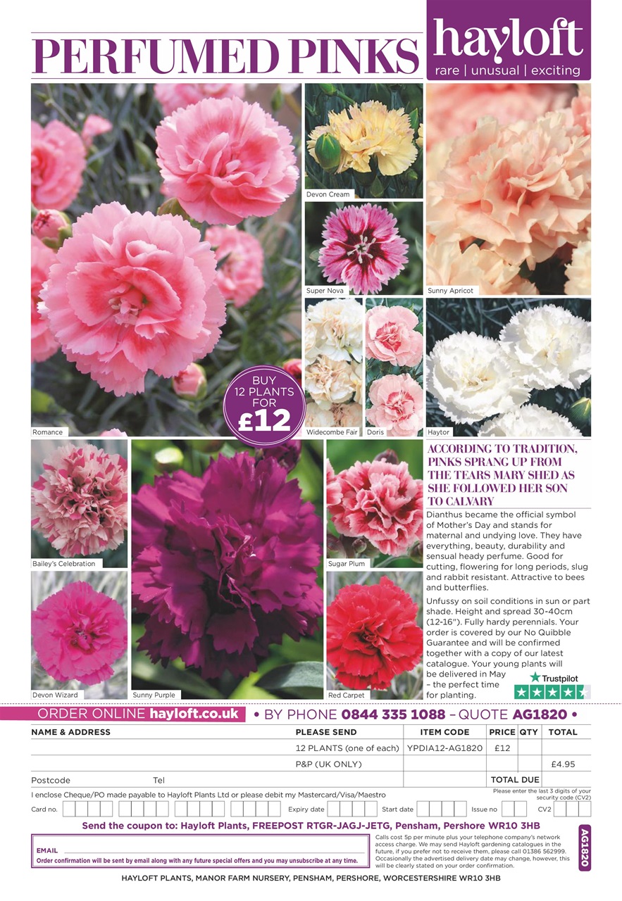 Amateur Gardening Preview Pages