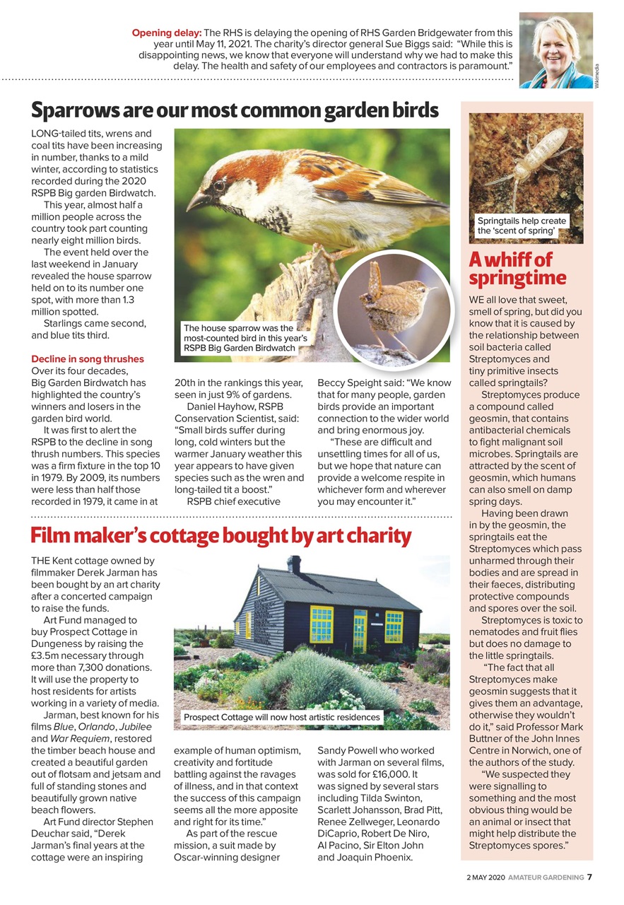 Amateur Gardening Preview Pages