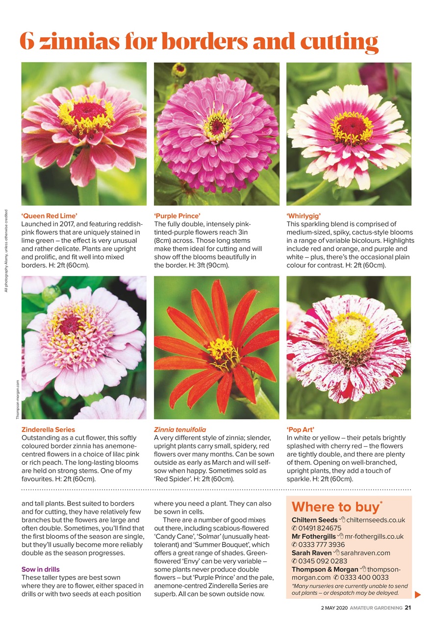 Amateur Gardening Preview Pages
