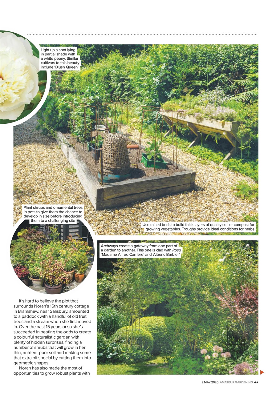 Amateur Gardening Preview Pages