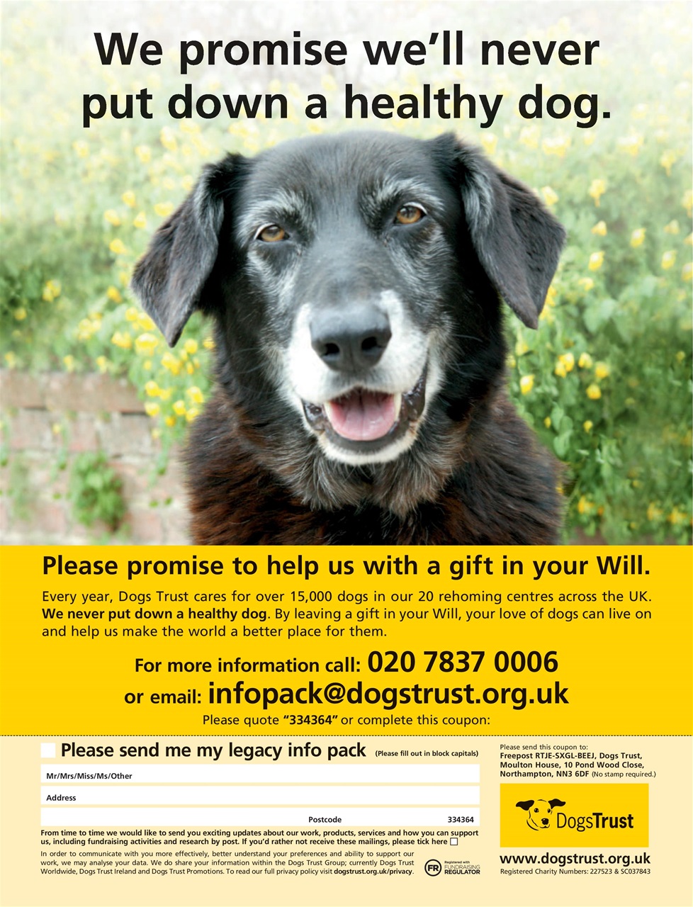 Choice Magazine Preview Pages