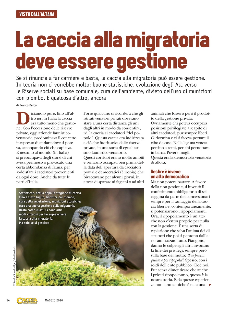 Caccia Magazine Preview Pages