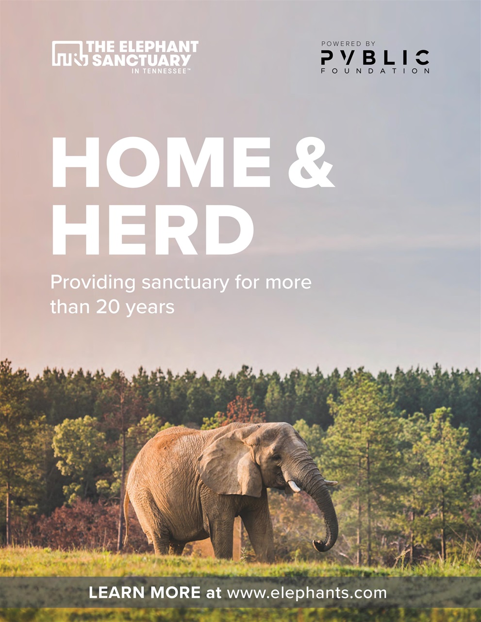 Newsweek International Preview Pages