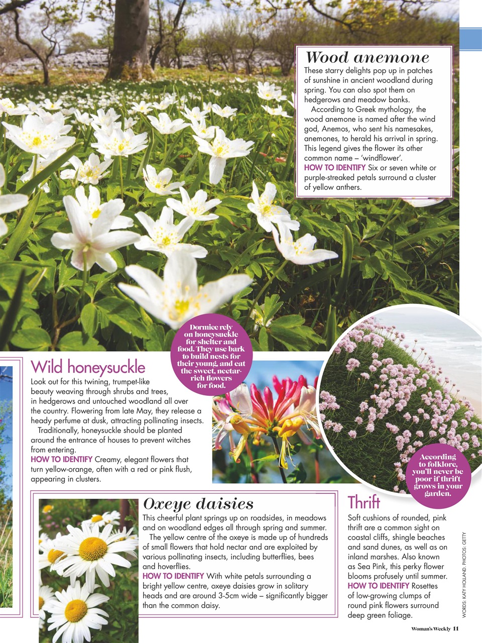 Woman's Weekly Preview Pages