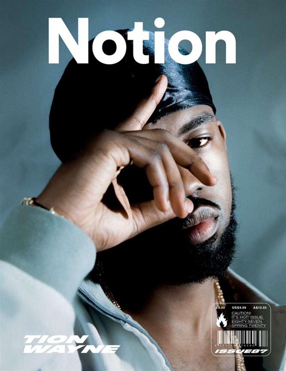 Notion Magazine Preview Pages