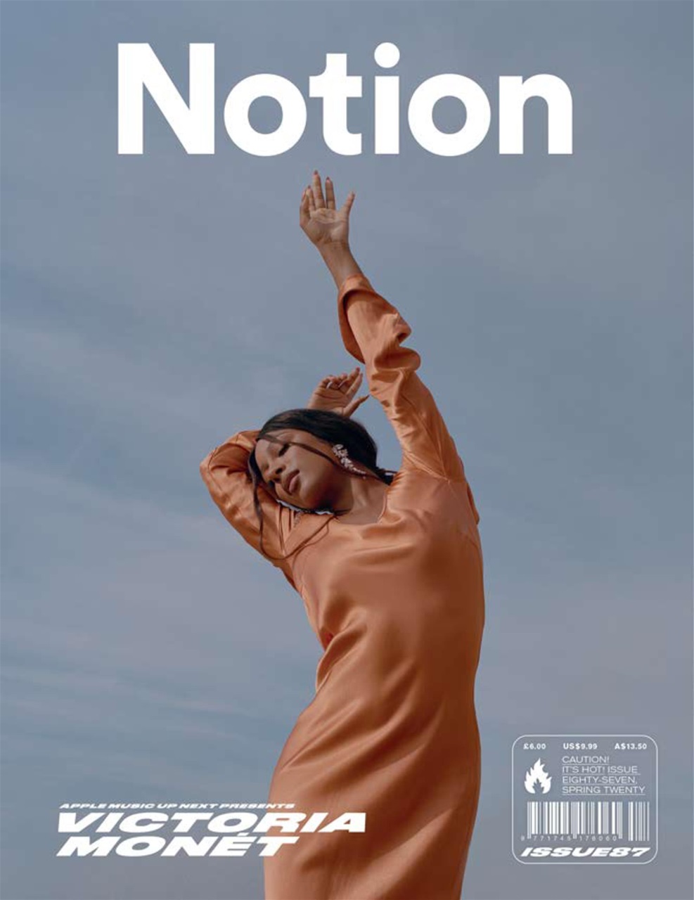 Notion Magazine Preview Pages