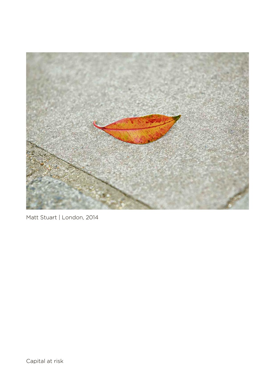 The Week Preview Pages