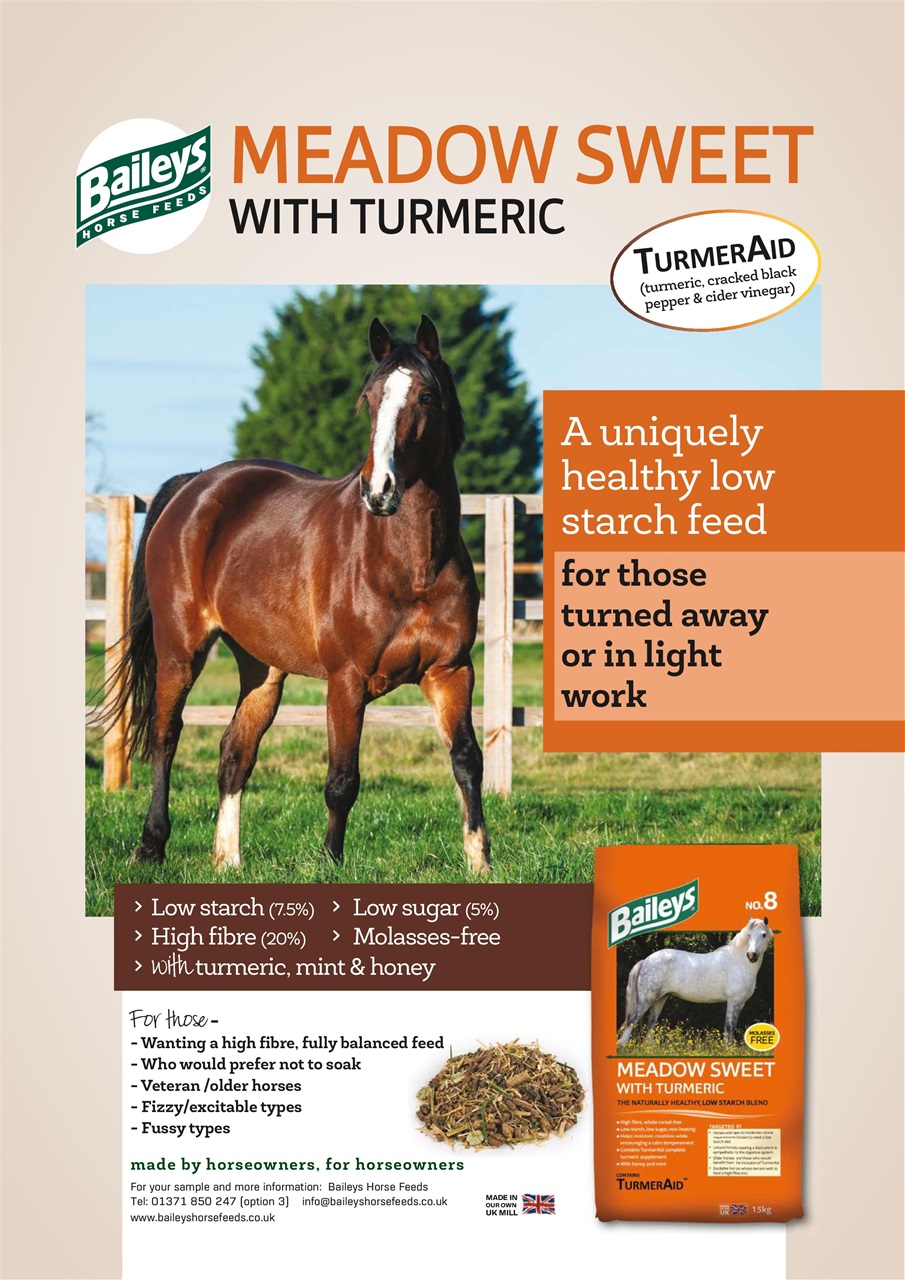 Your Horse Preview Pages