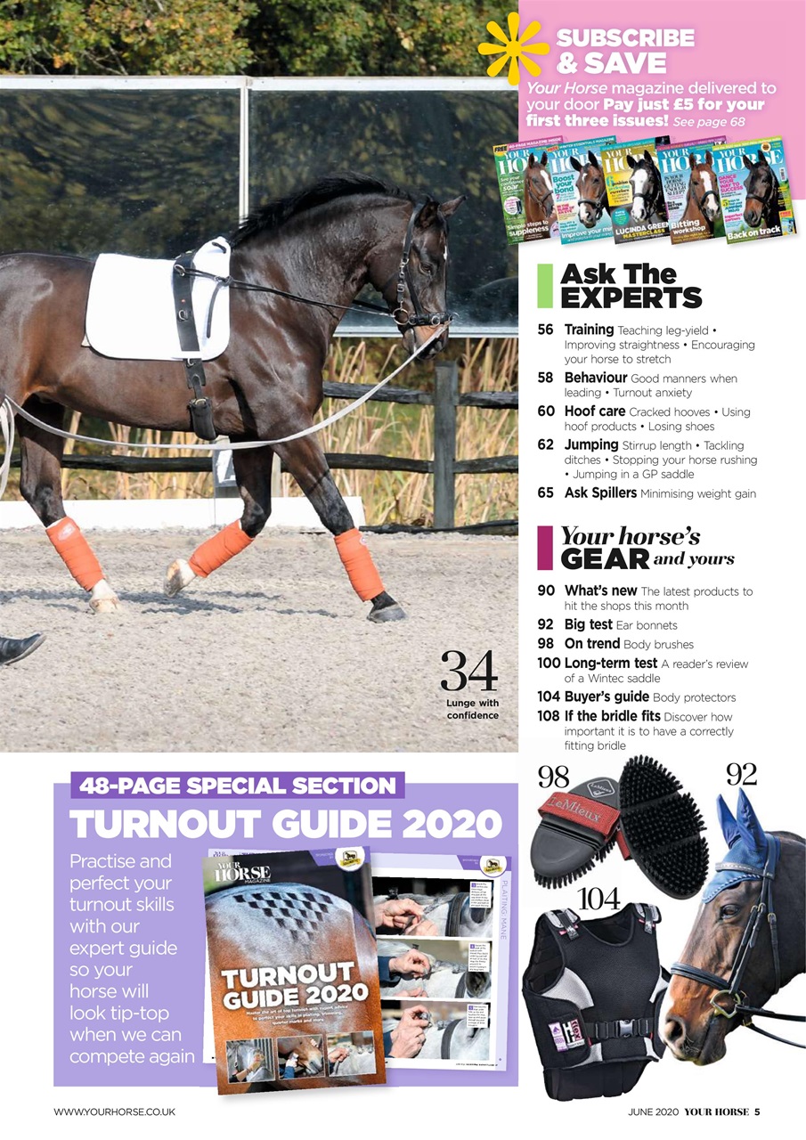 Your Horse Preview Pages