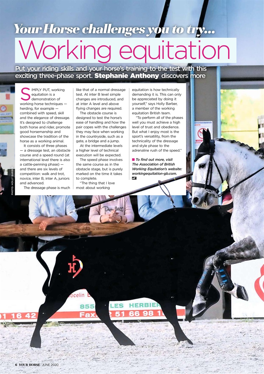 Your Horse Preview Pages