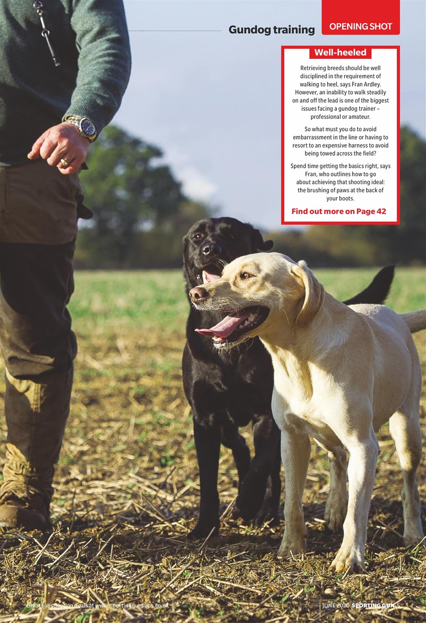 Sporting Gun Preview Pages