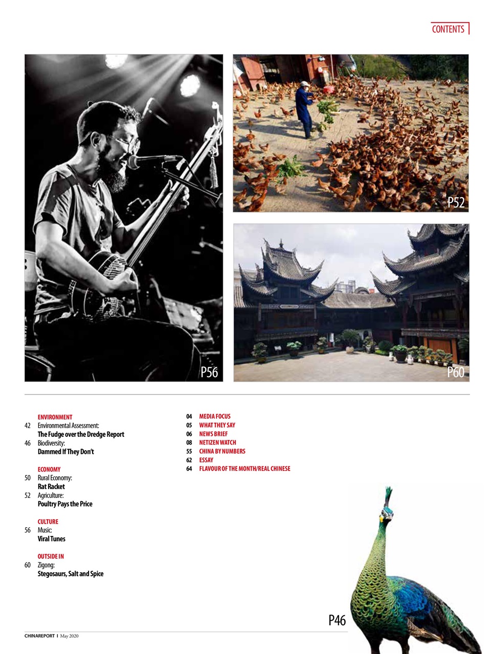 China Report Preview Pages