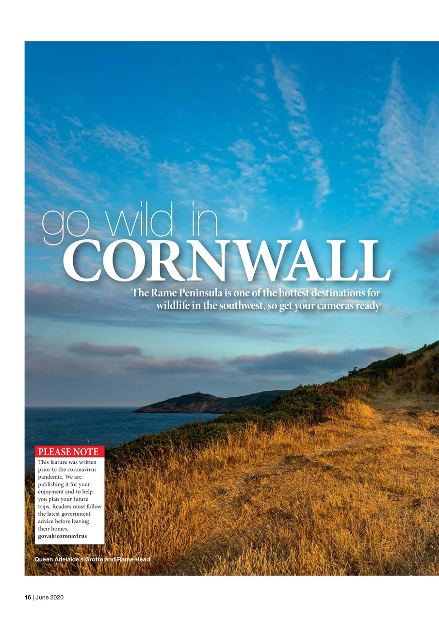 Caravan Magazine Preview Pages