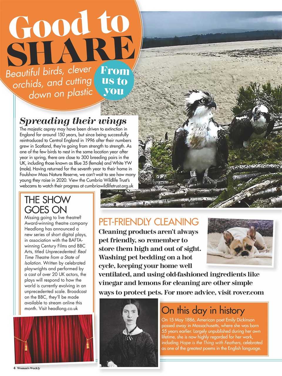 Woman's Weekly Preview Pages