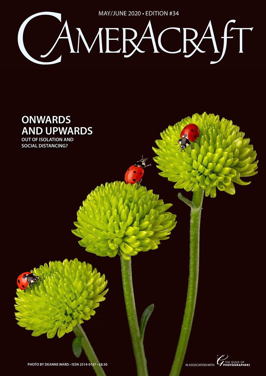 f2 Cameracraft Preview Pages