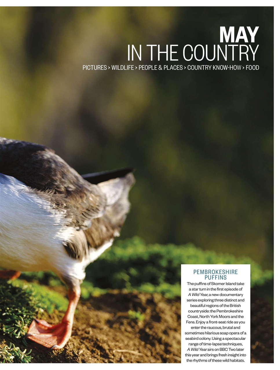 BBC Countryfile Magazine Preview Pages