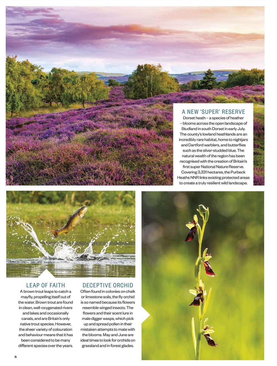 BBC Countryfile Magazine Preview Pages