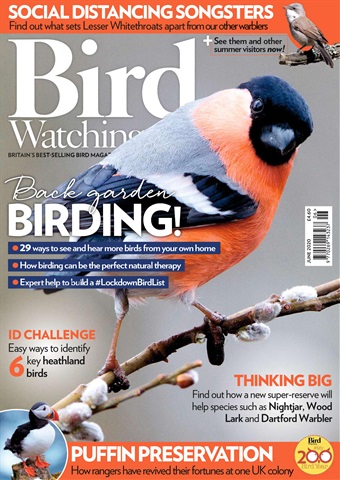 Bird Watching issue Jun 20