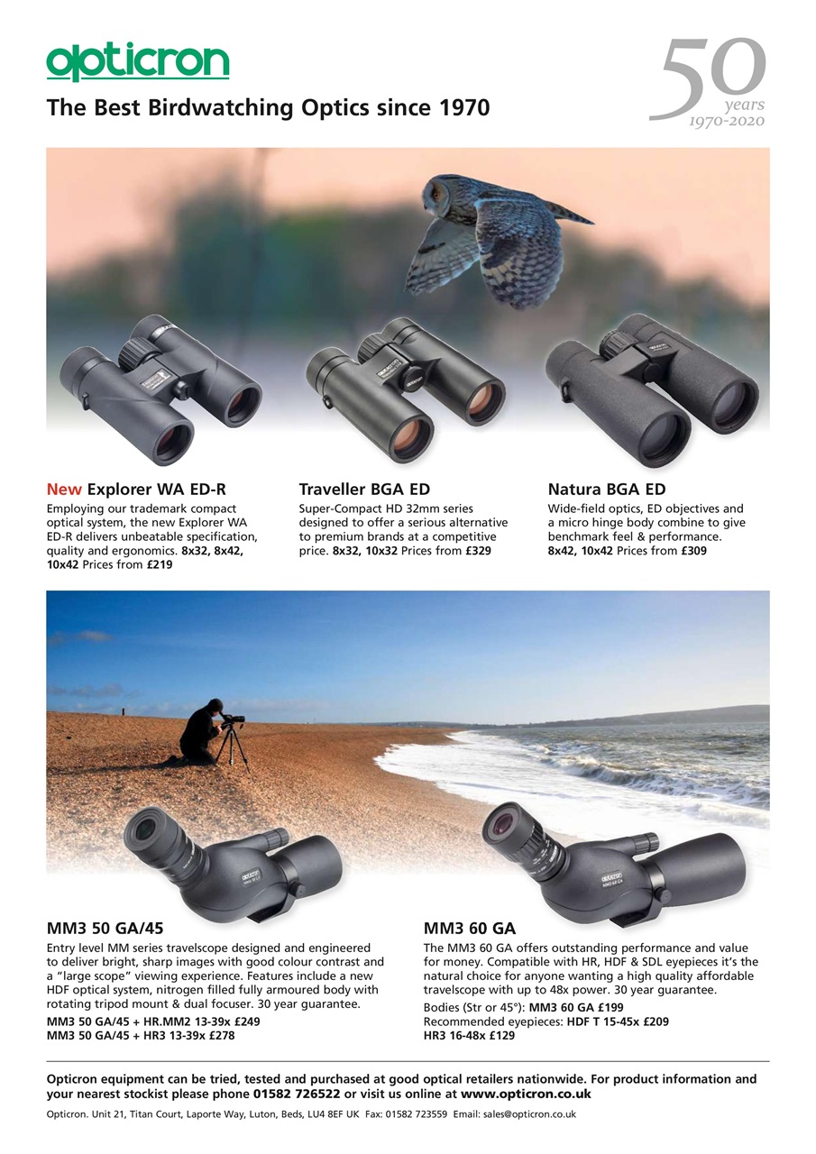 Bird Watching Preview Pages