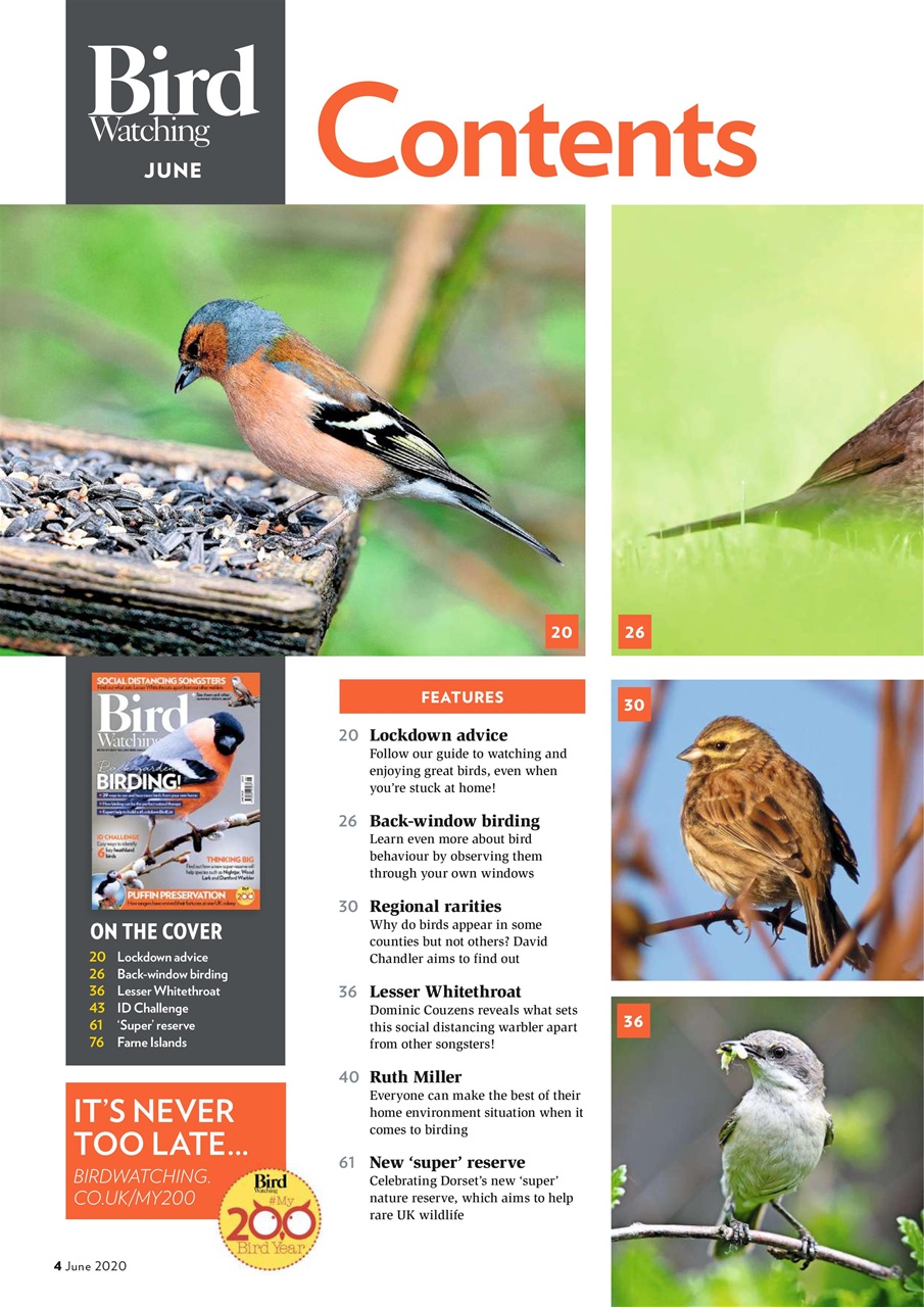 Bird Watching Preview Pages