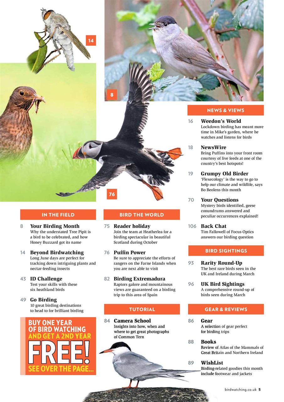 Bird Watching Preview Pages