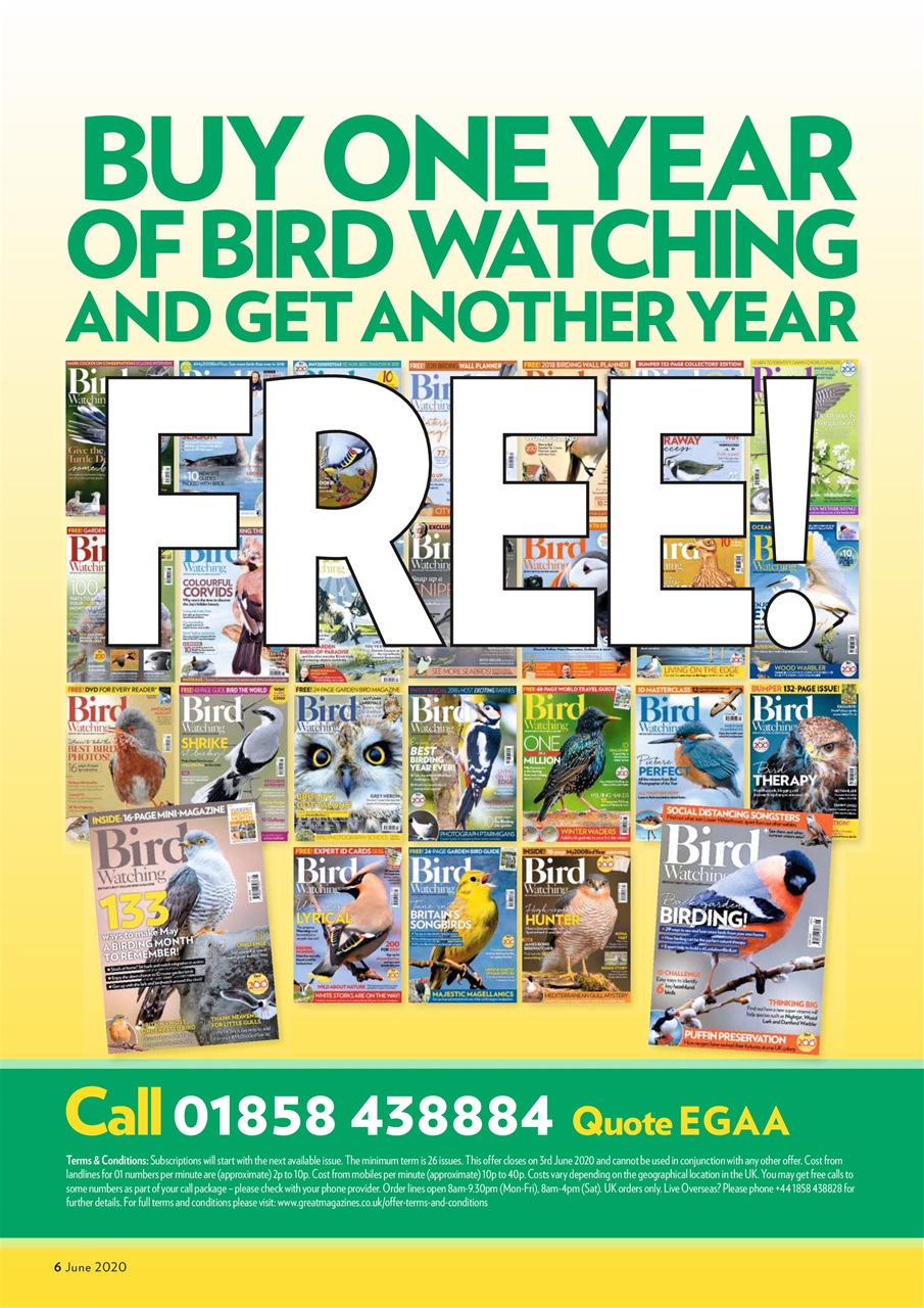 Bird Watching Preview Pages