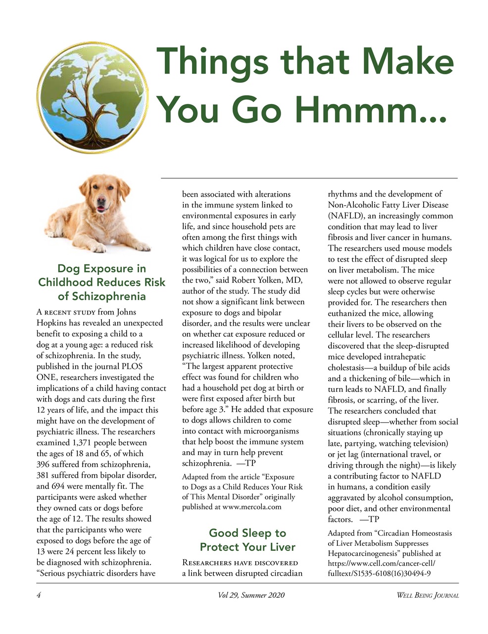 Well Being Journal Preview Pages