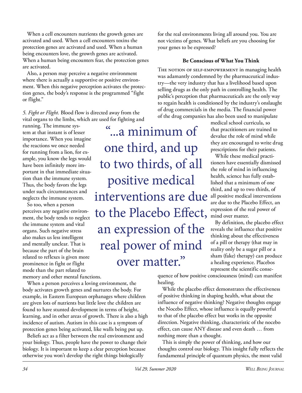 Well Being Journal Preview Pages