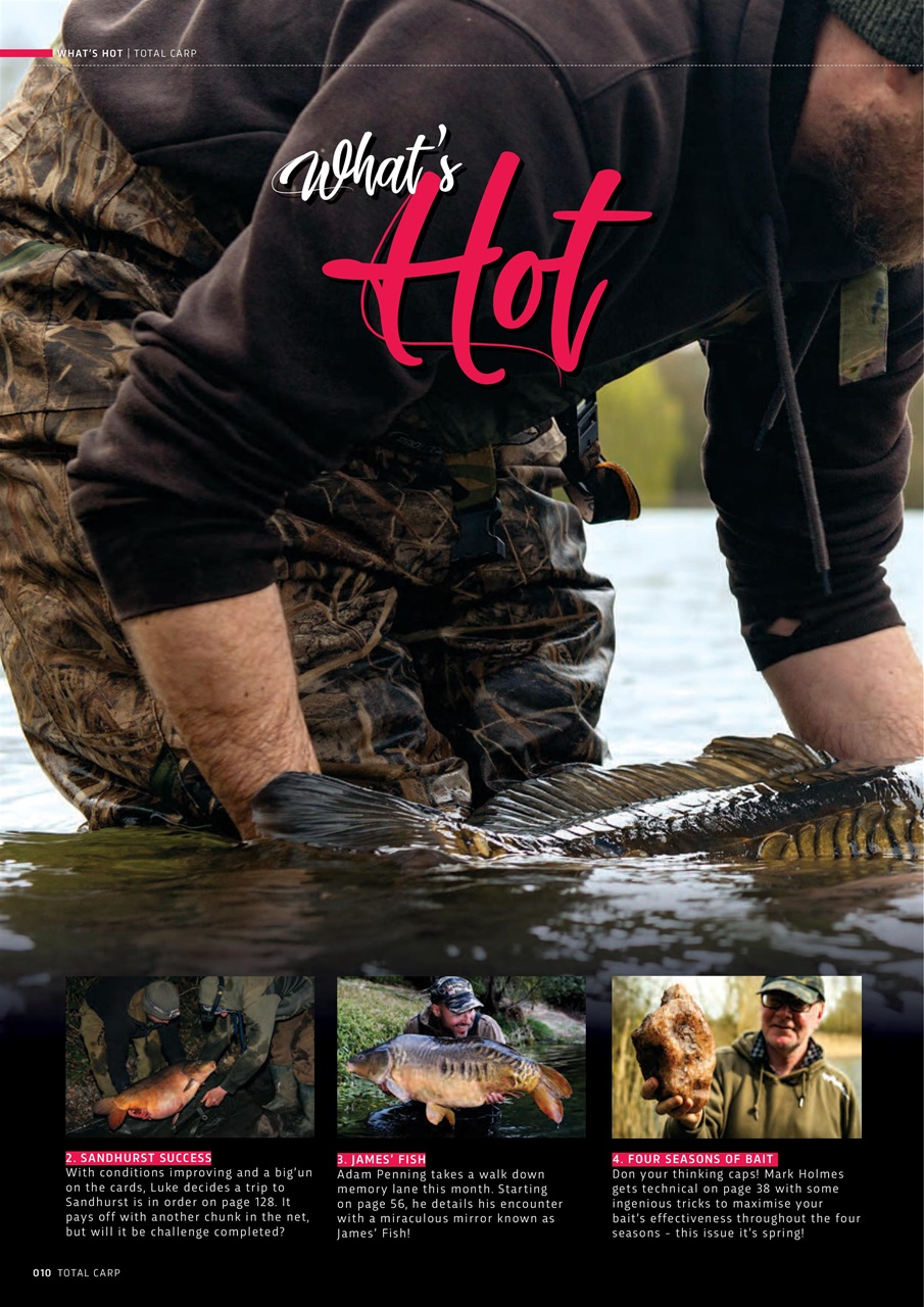 Total Carp Preview Pages