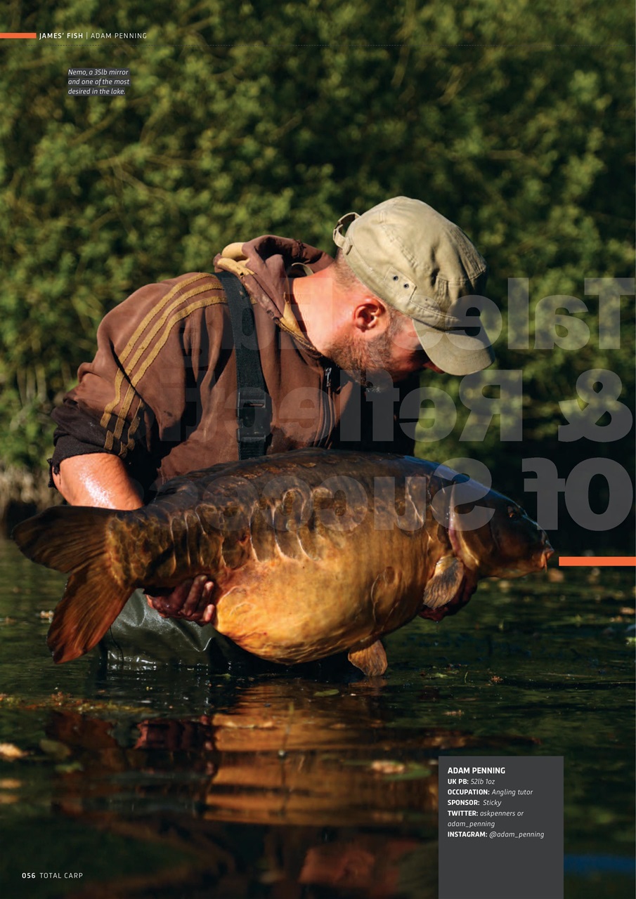 Total Carp Preview Pages