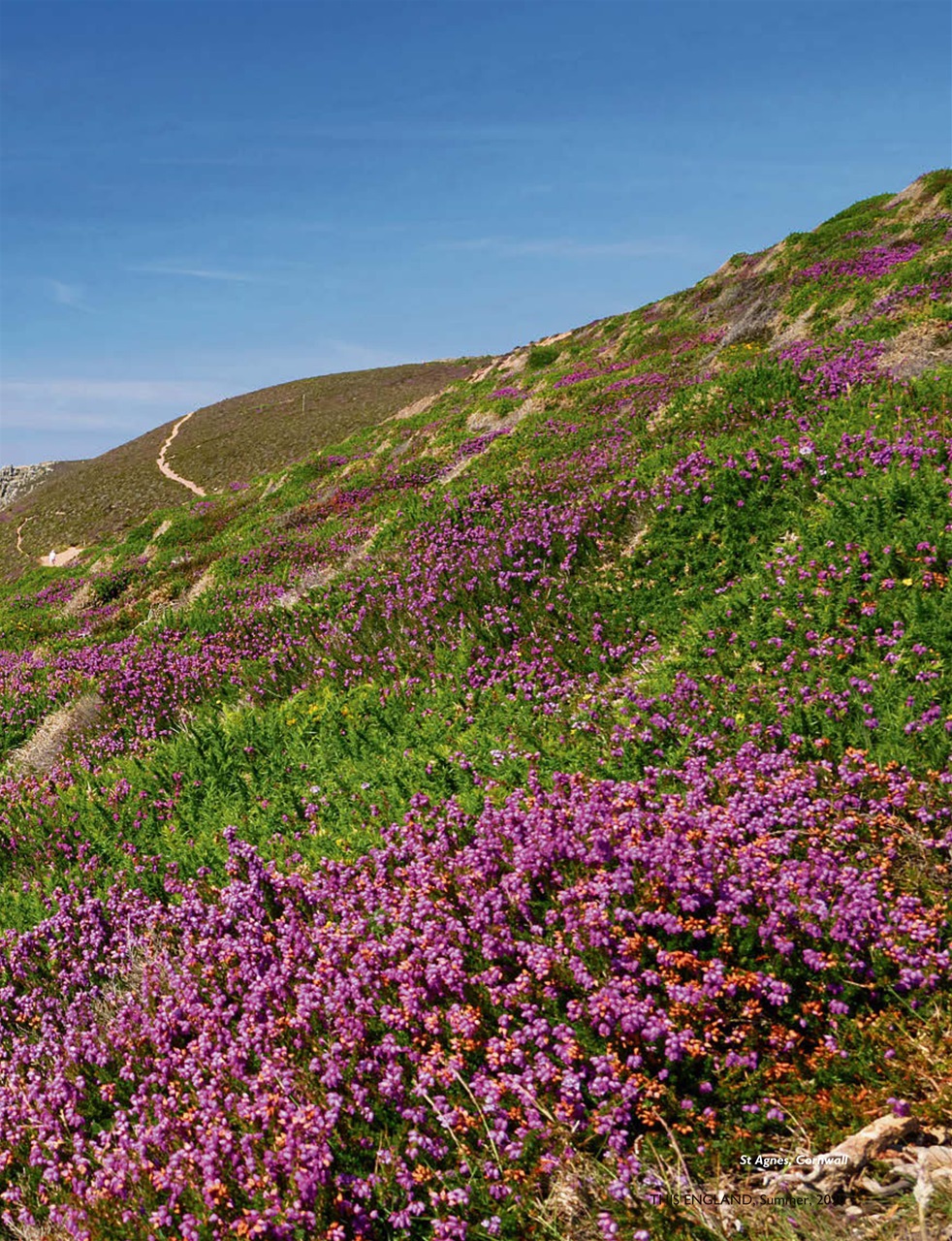 This England Preview Pages