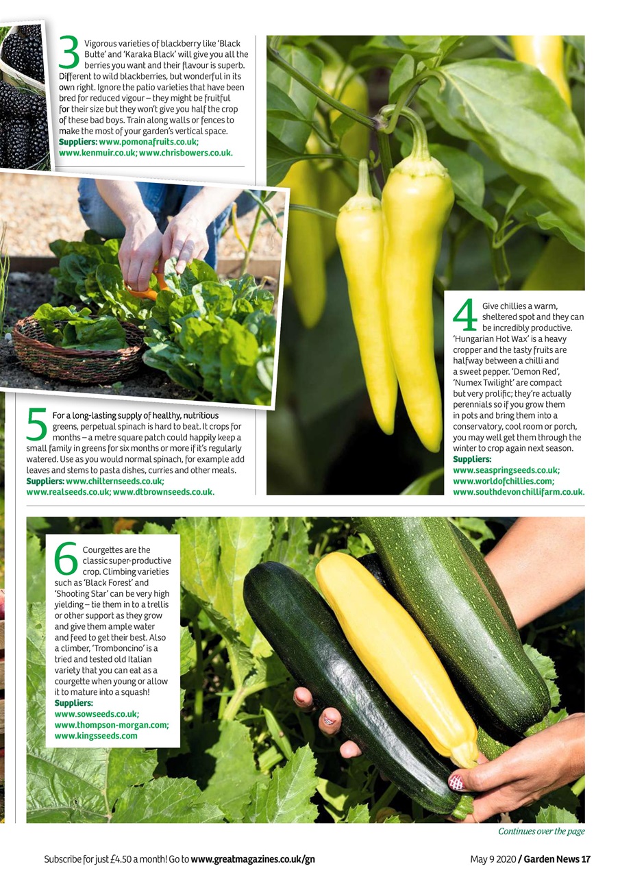 Garden News Preview Pages