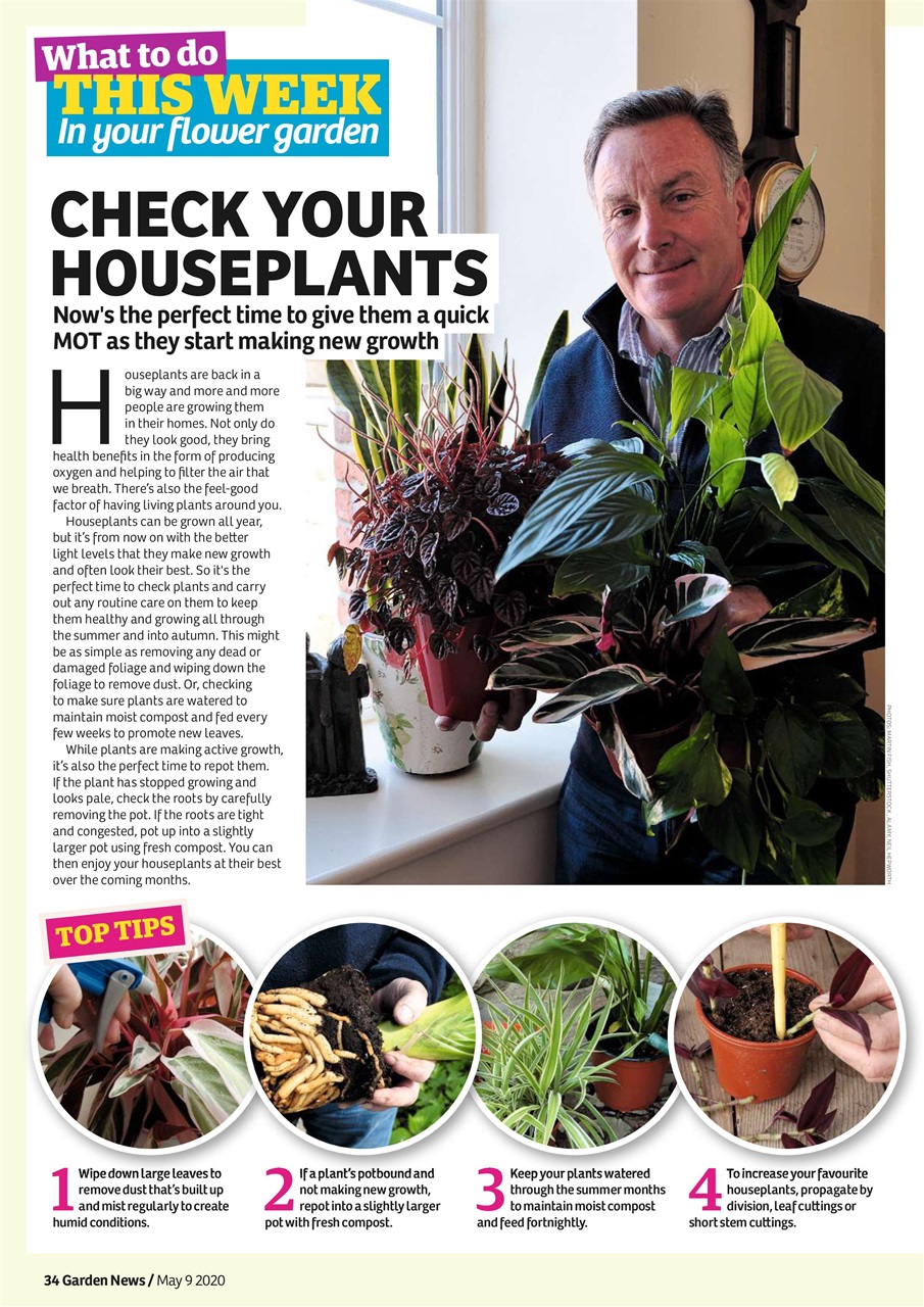 Garden News Preview Pages