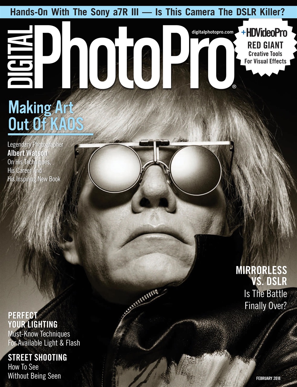 Digital Photo Pro Preview Pages