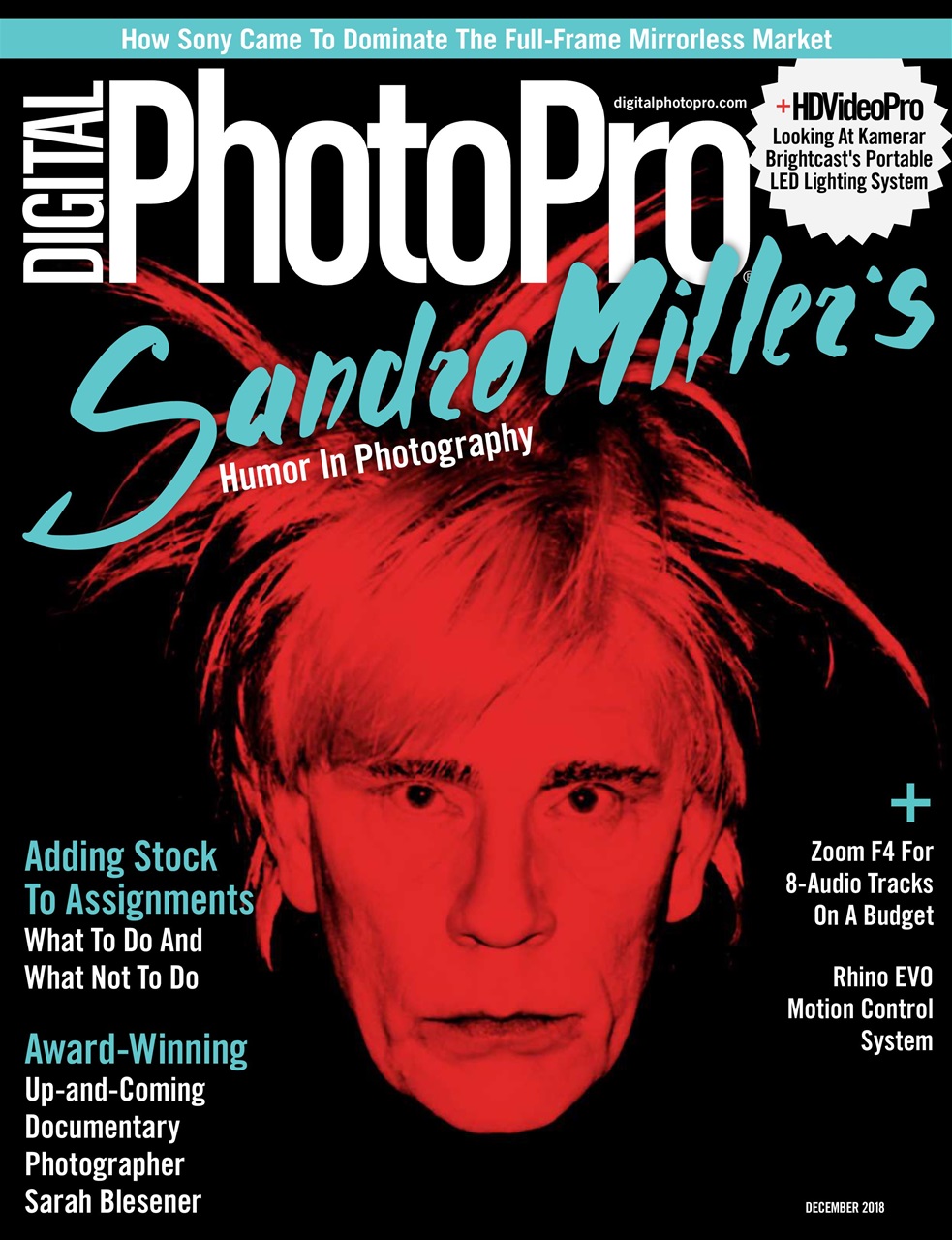 Digital Photo Pro Preview Pages
