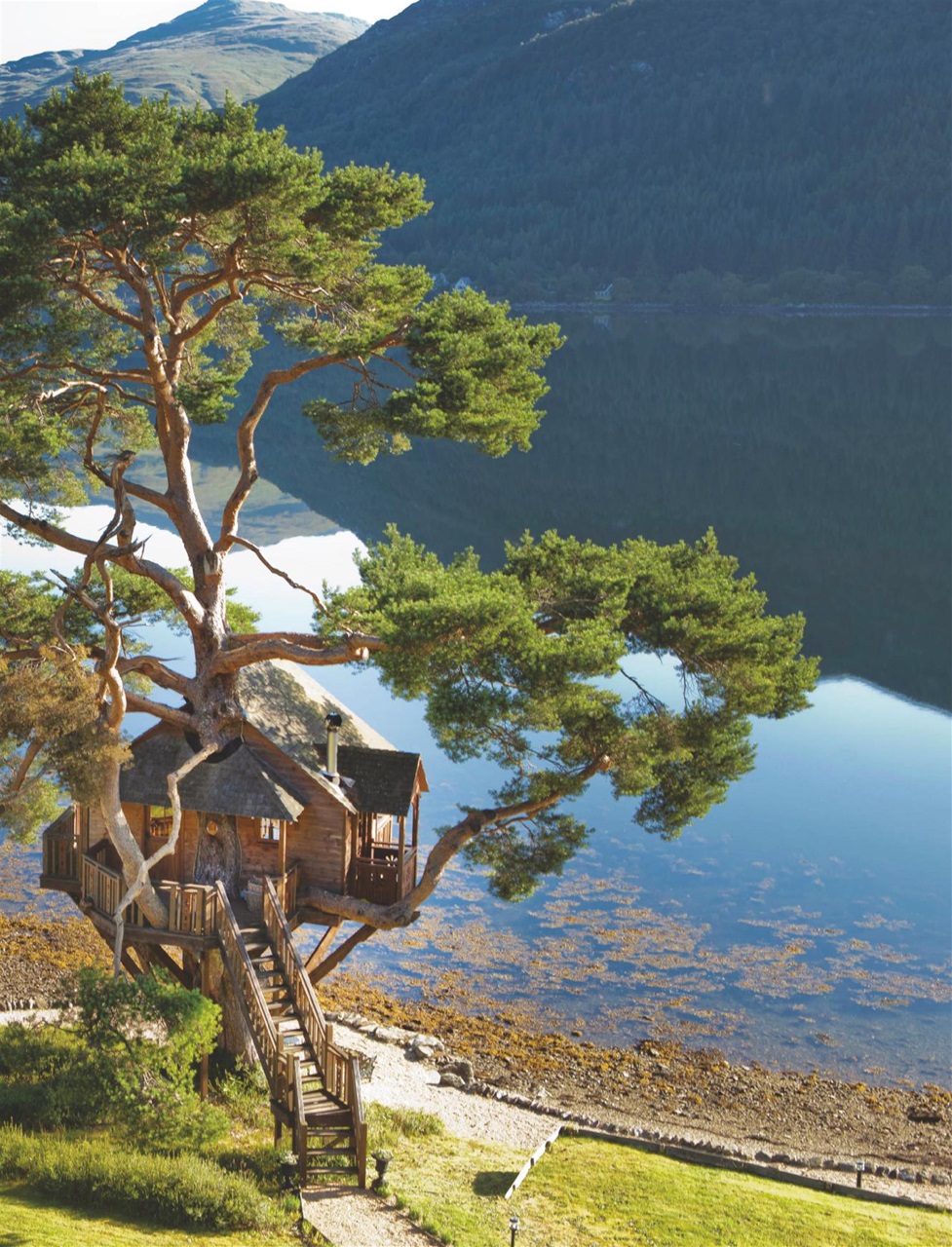 The Field Preview Pages