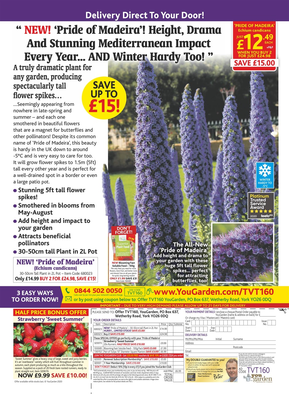 TV Times Preview Pages