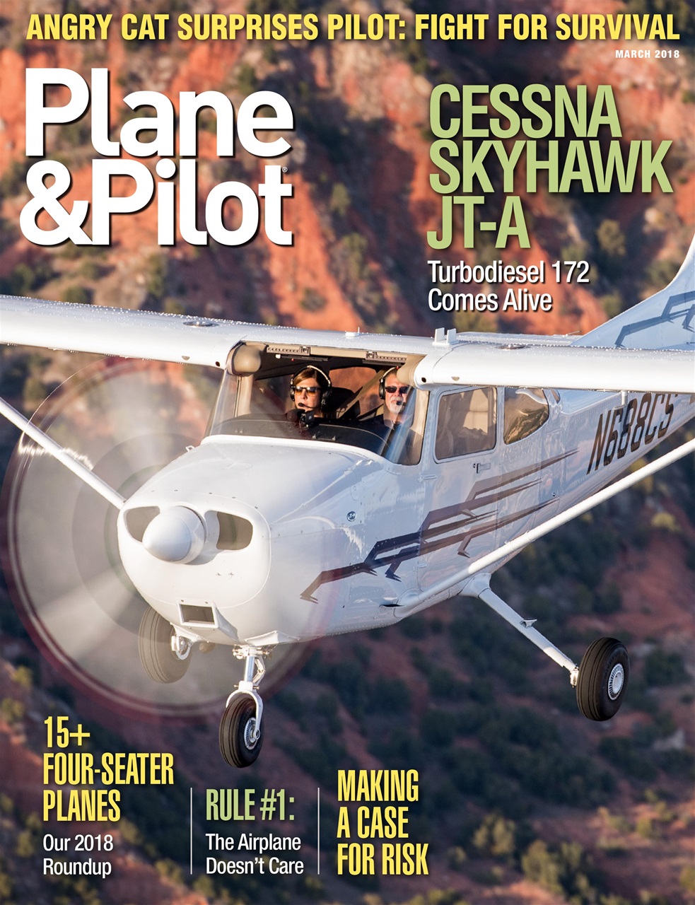 Plane & Pilot Preview Pages