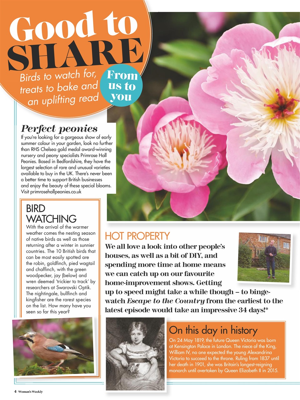 Woman's Weekly Preview Pages