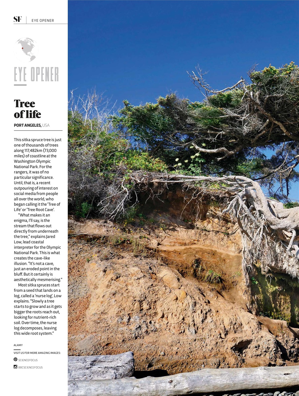 BBC Science Focus Magazine Preview Pages