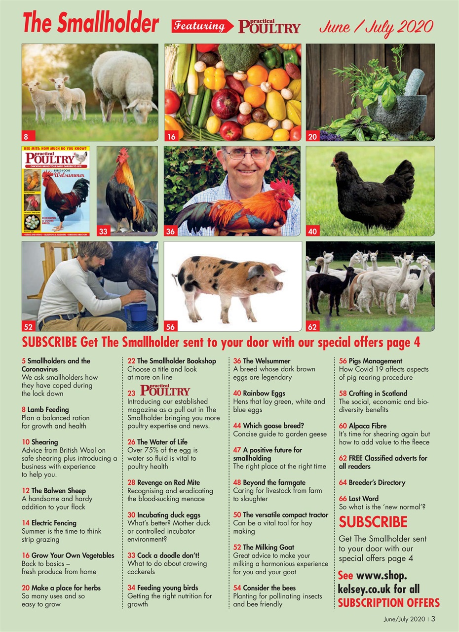 The Smallholder Preview Pages