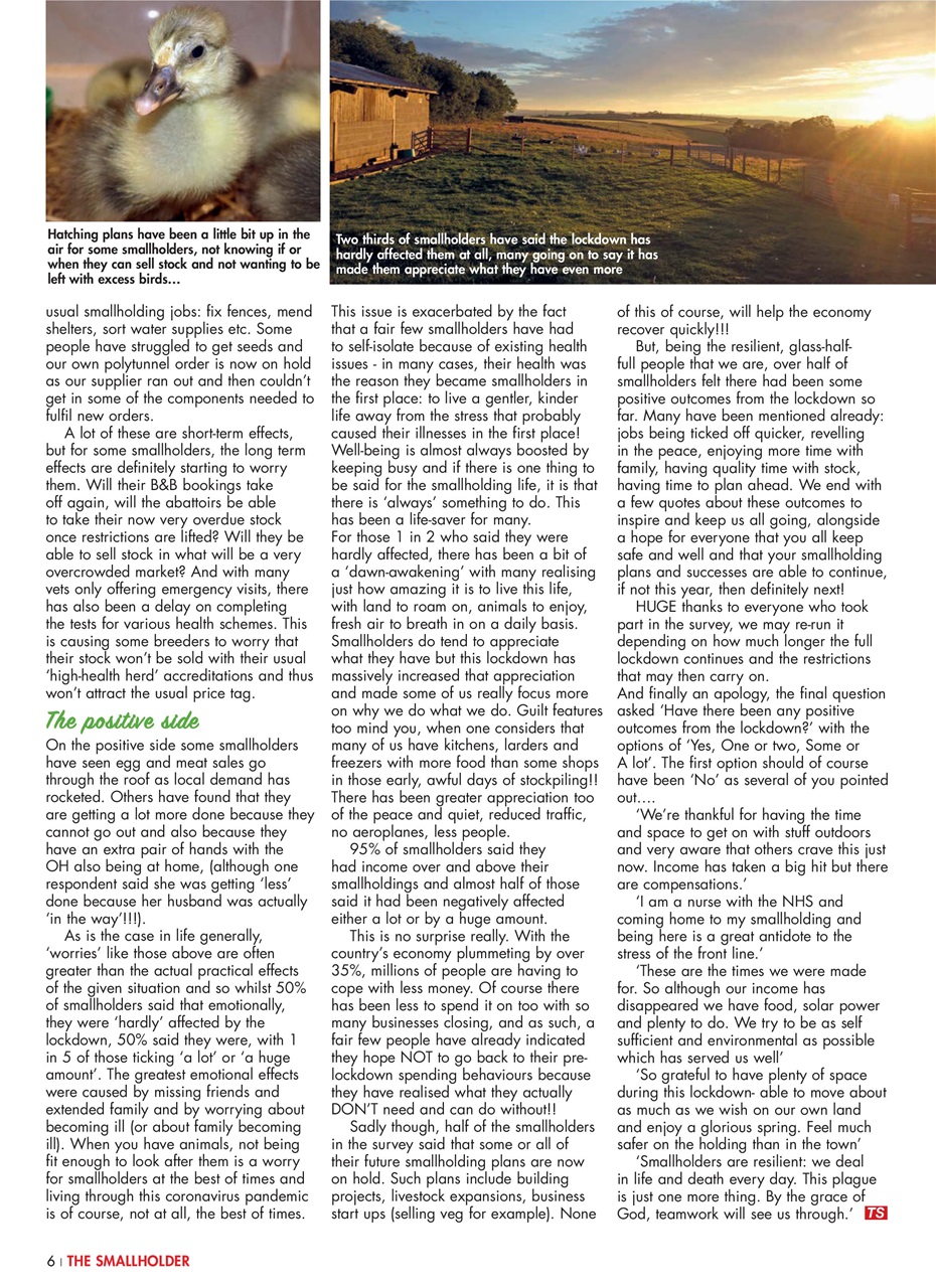 The Smallholder Preview Pages