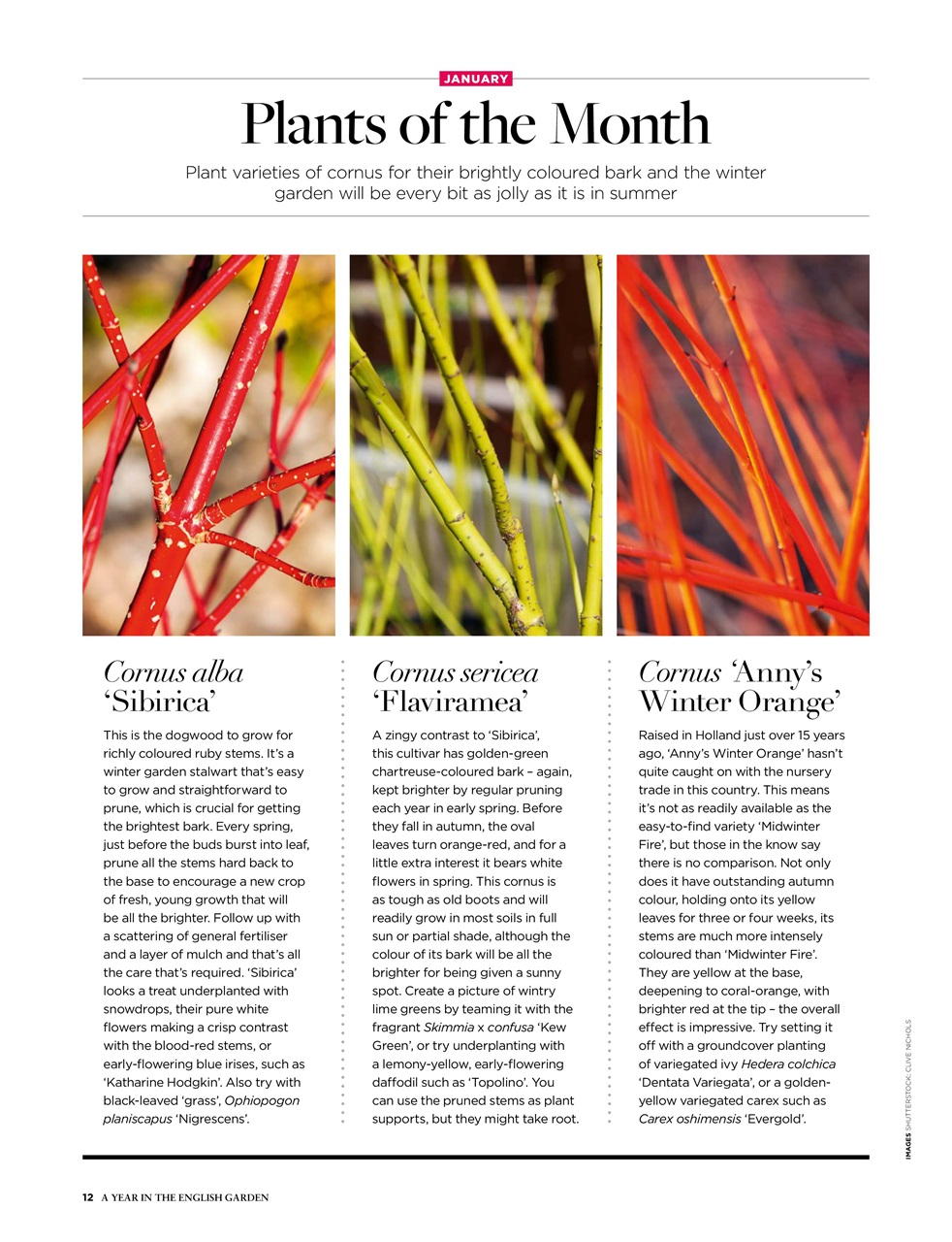 The English Garden Preview Pages