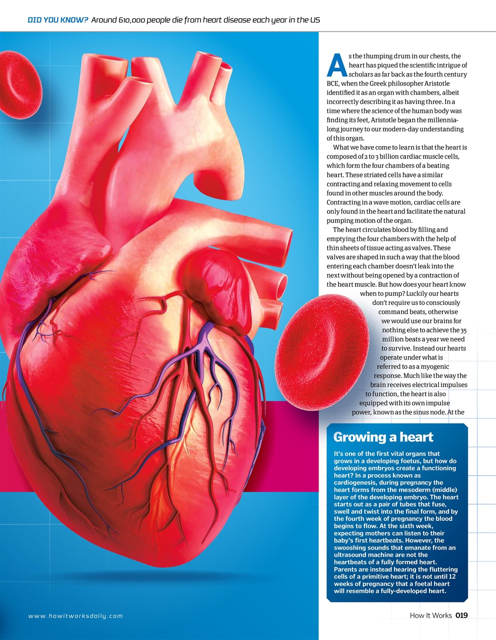 How It Works Preview Pages