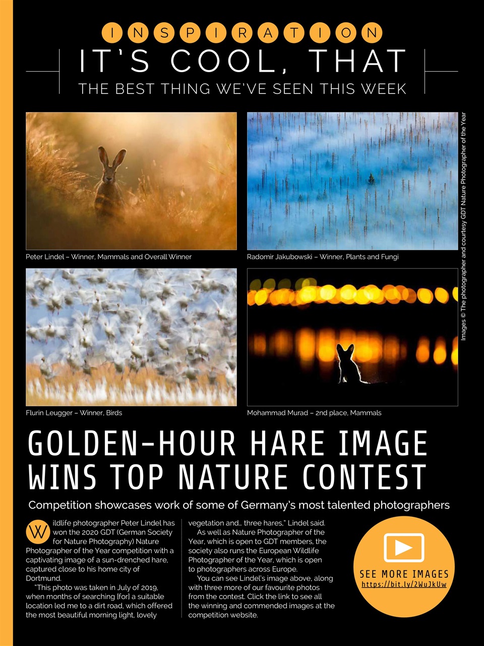 Photography Week Preview Pages