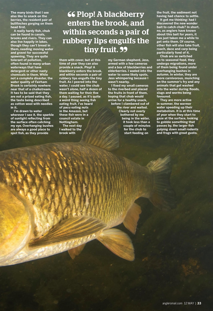 Anglers Mail Preview Pages