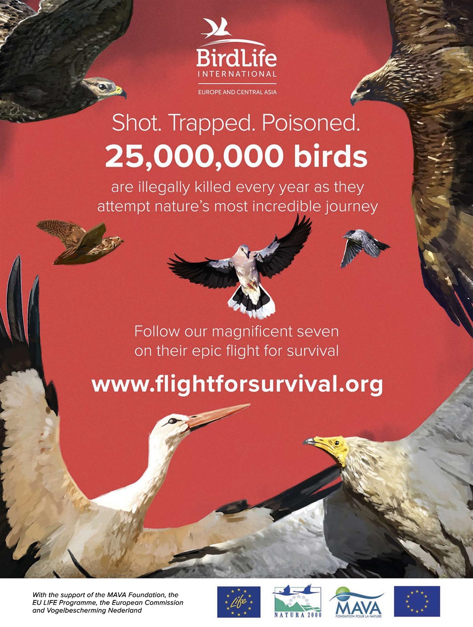 BBC Wildlife Magazine Preview Pages