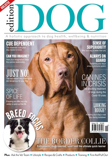 Edition Dog issue 