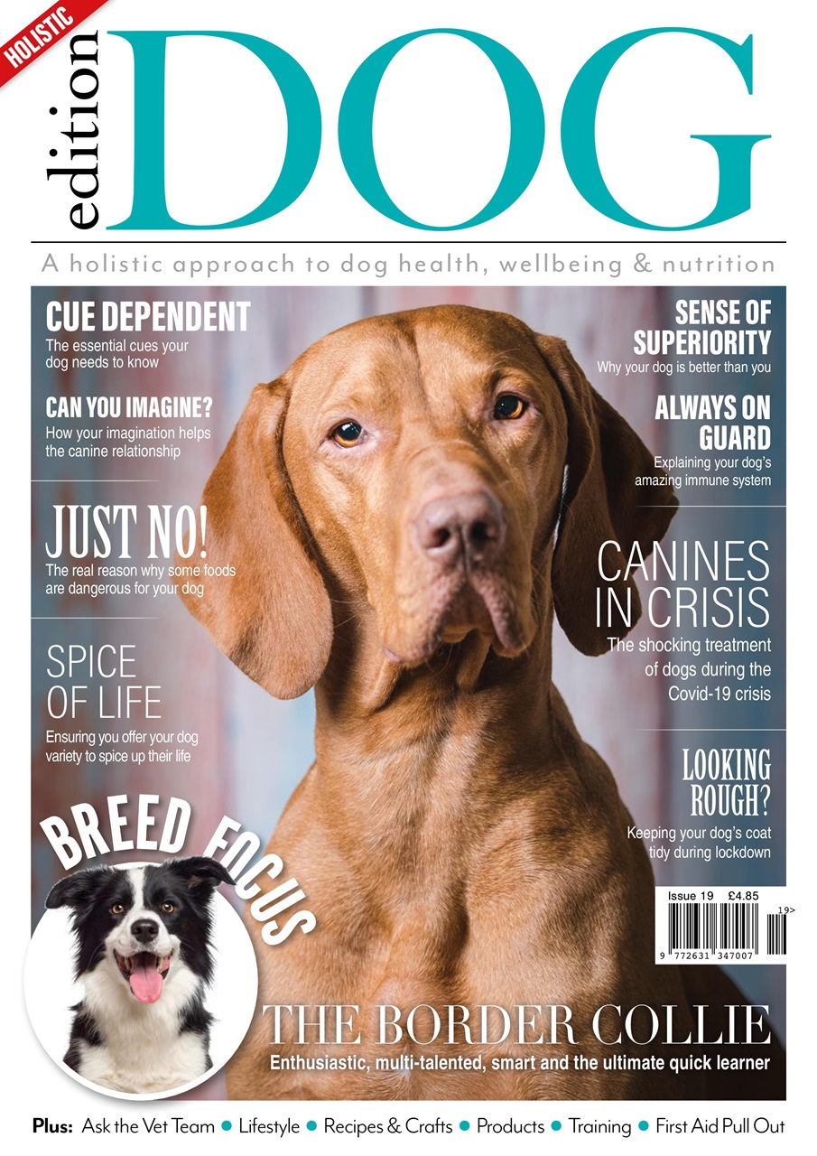 Edition Dog Preview Pages