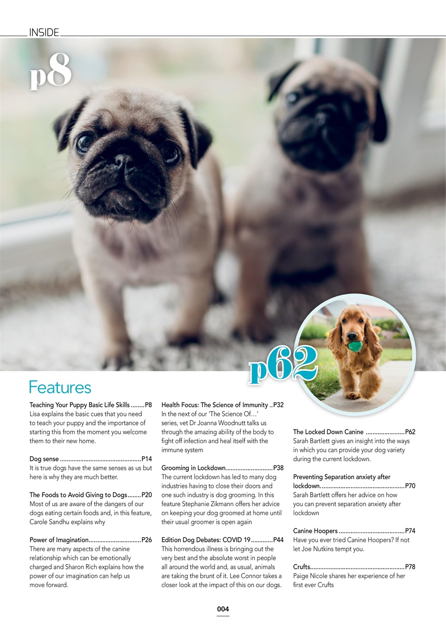 Edition Dog Preview Pages